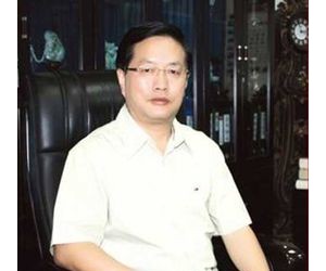 陆地方舟CEO刘础瑞：电动汽车发展应“宽准入 严标准”