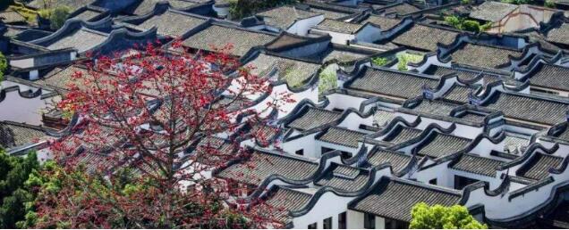点击打开原图
