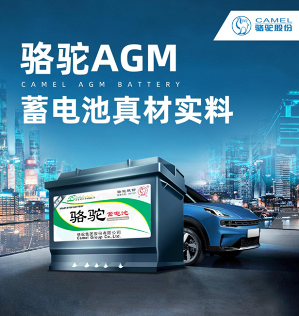 https://www.zhev.com.cn/file/upload/202401/24/16-51-38-90-4872.png