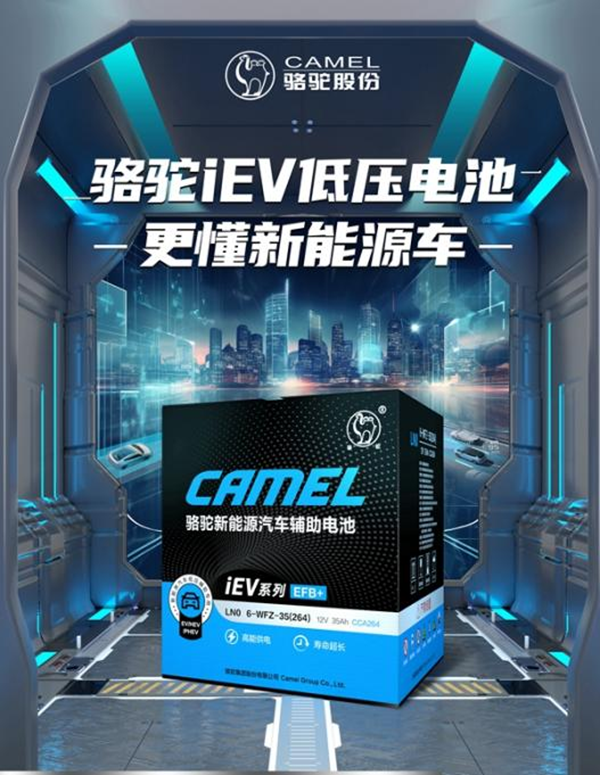 https://www.zhev.com.cn/file/upload/202405/14/17-19-41-76-4872.png
