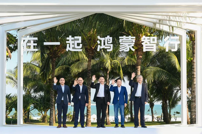 图片31.png