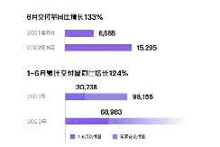 小鹏汽车6月交付量达到15295台 上半年累计交付超6.8万台